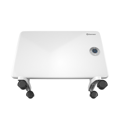 Электроконвектор Thermex Frame 1000E (настенный/напольный) (401011)